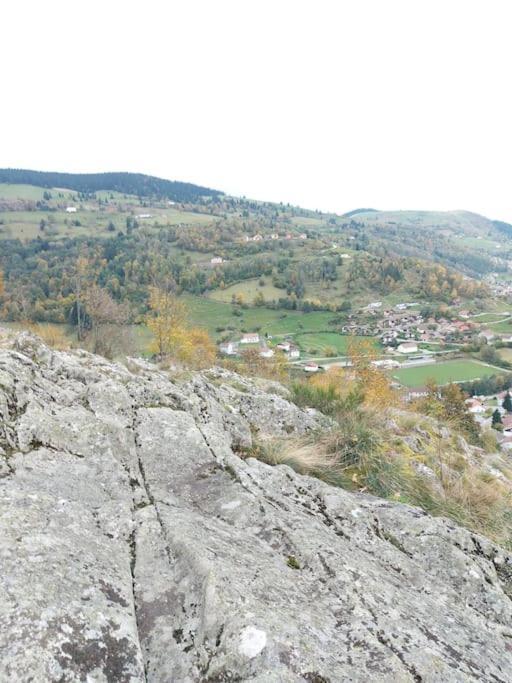 Appart6 Pers Garage Centre A 500M La Bresse Exterior foto